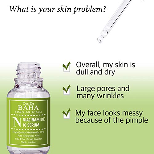 Niacinamide 10% + Zinc 1% Serum (N)