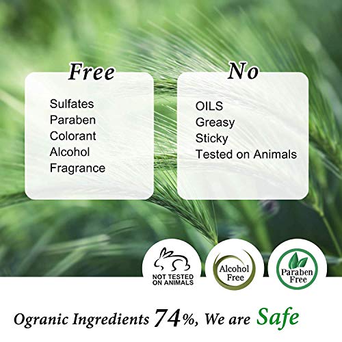 Niacinamide 5% + Arbutin 5% + Hyaluronic Acid Serum (AN)