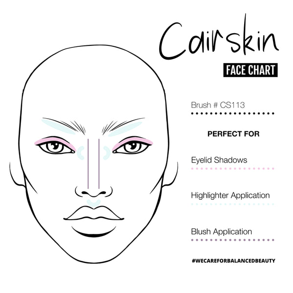 CAIRSKIN CS113 - Flat Small Eyelid Shadow Brush