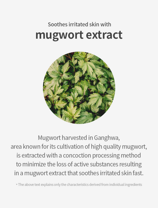 Spot Saver Mugwort Gauze Mask