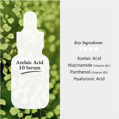 Azelaic Acid 10% with Niacinamide Serum (AZ)