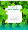 Madecassoside Ampoule