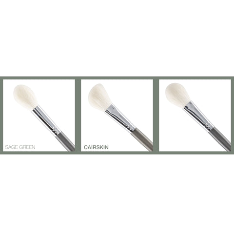 CAIRSKIN Sage Green Premium Face 5 Brushes Set