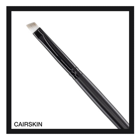 CAIRSKIN Premium Fuse The Basics 9 Professional Eye Brushes Set