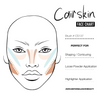 CAIRSKIN CS137 - Flat Shape & Contour Brush